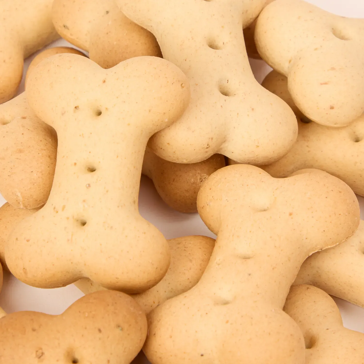 Petisco Biscoito Joy Cook Filhotes